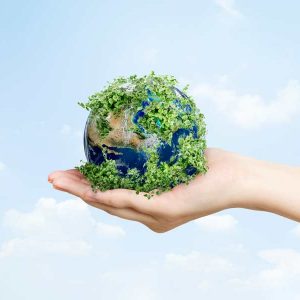 zielona-energia-ekotez